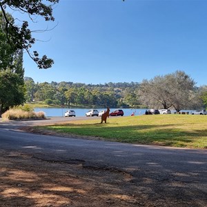 Lake Conobolas