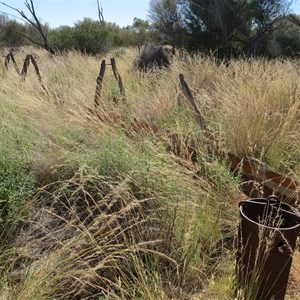 May 2013 - grass covered