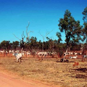 Mcarthur River