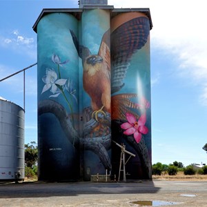 Kaniva Silo Art