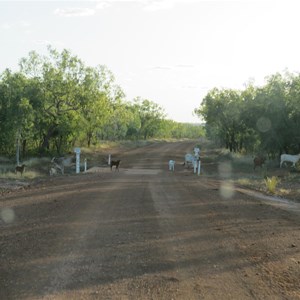 Mustering malingerers