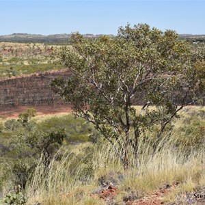 Bill Allen Lookout