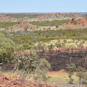 Bill Allen Lookout