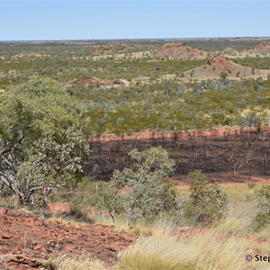 Bill Allen Lookout