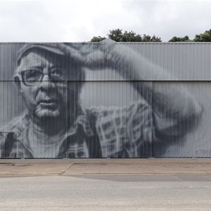 St Arnaud Wall Art - Ron Reyne