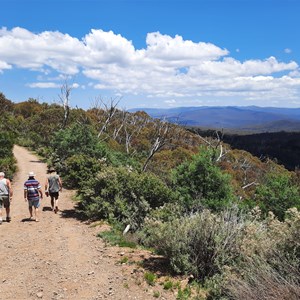 Track to Fire Tower