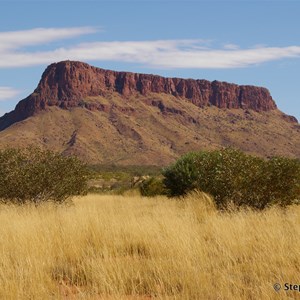 Mount Leisler