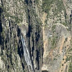 Wollomombi Falls