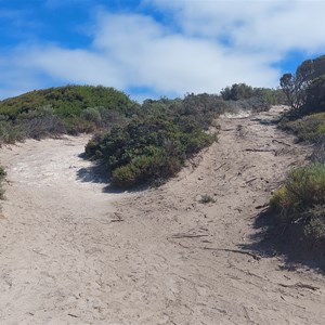 Point Henry 4