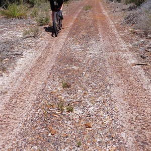 4Wd/Mtb Track