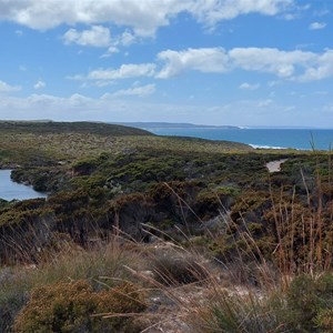 Swan Gully