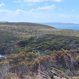 Swan Gully