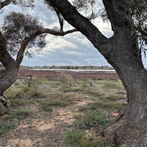 Lake Crosbie Campground