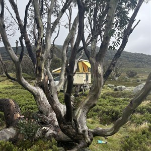 Pretty Valley Hut Campground