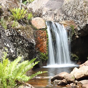 Mount Paris Dam Falls