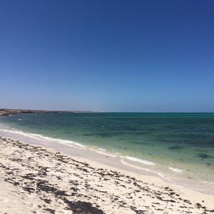 Louisa Bay Campsite