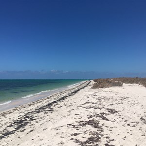 Louisa Bay Campsite