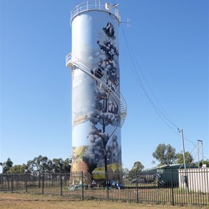 Warren Water Tower Art
