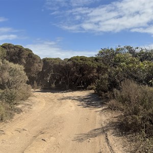 MacLaren Point Campground