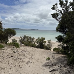 Black Springs Campground