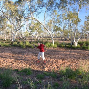 Creek Bed