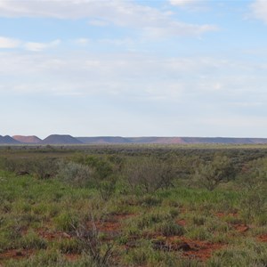 Across the Mitchell grass plains