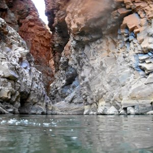 Swimming in Redbank Gorge pool