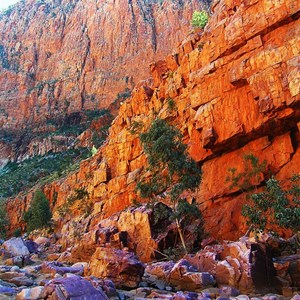 Ormiston Gorge