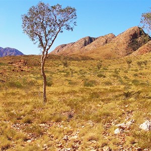 Ormiston Gorge and Pound