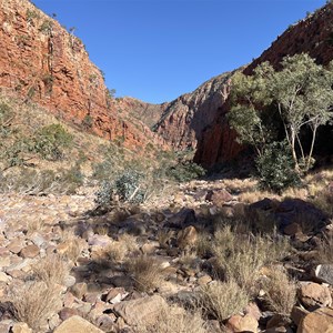 Ormiston Gorge and Pound 