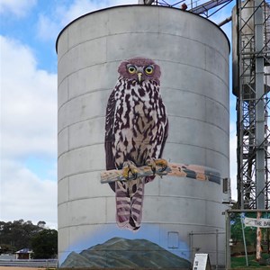 Avoca Silo Art