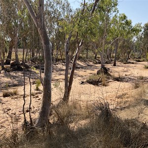 Bush Camp Gibb River