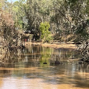 Bush Camp Gibb River