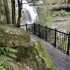 Liffey Falls