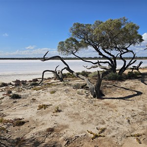 Salt Lake View