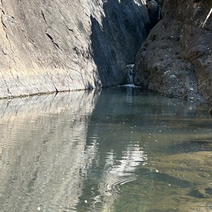 Dead Horse Creek