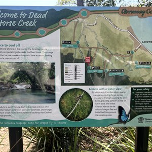 Dead Horse Creek