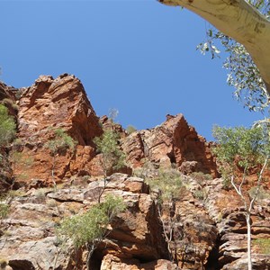 Rivergum and rocks