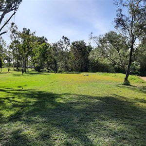 Grassy bank creekside