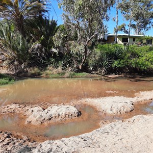 Springs under the sand