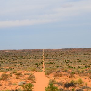 Simpson Desert