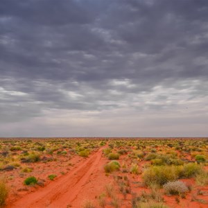 Simpson Desert