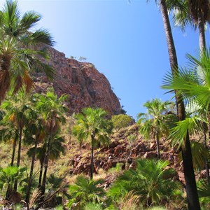 Scenery along gorge walk