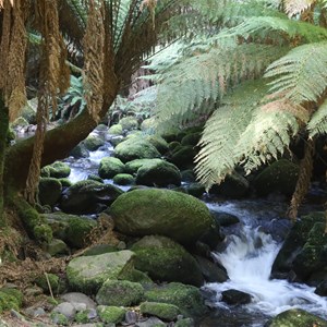 St Columba Falls