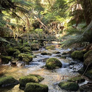 St Columba Falls