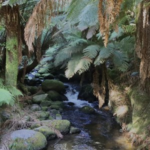 St Columba Falls