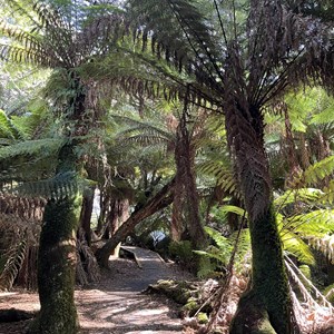 St Columba Falls