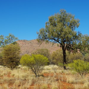 Petermann Ranges