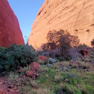 Kata Tjuta