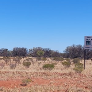 Wallace Rock Station